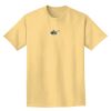 Adult Heavyweight T-Shirt Thumbnail